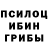 Псилоцибиновые грибы прущие грибы shizamoto